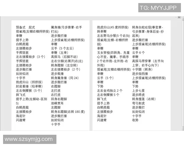 深入探讨杨式太极拳85式拳谱的技艺与内涵解析