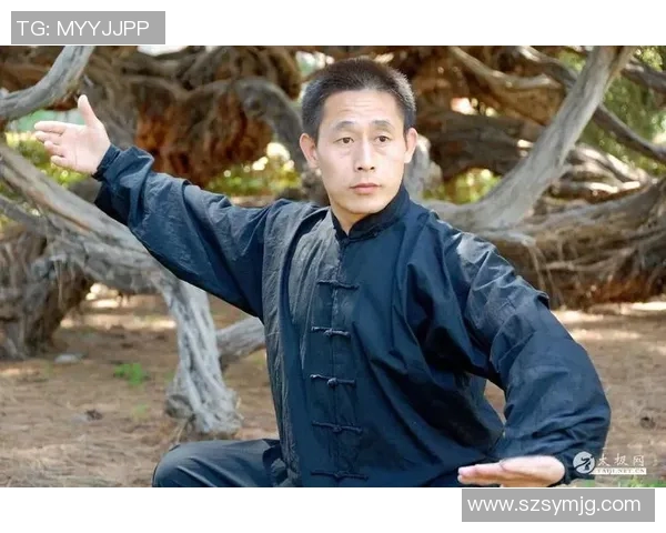 深入浅出正宗太极拳教程助你掌握内外兼修的武学精髓与身心平衡之道