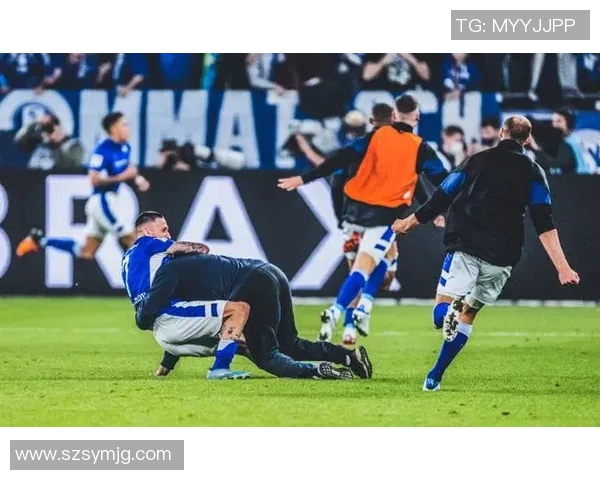 沙尔克04主场失利，德甲排名继续滑坡