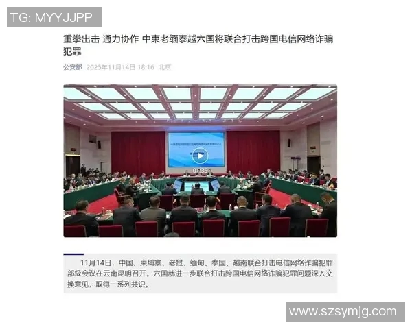 恶势力西涅横行，多国联手打击网络犯罪活动